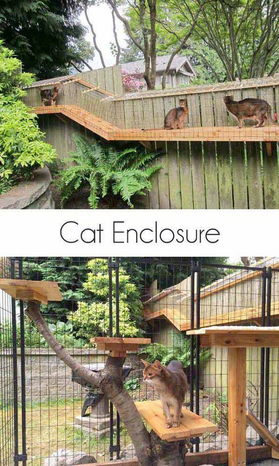 03-Projects-and-Tips-for-Pets-WooHome