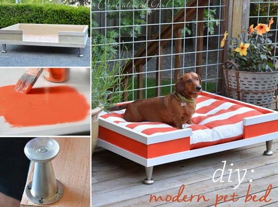 11-Projects-and-Tips-for-Pets-WooHome
