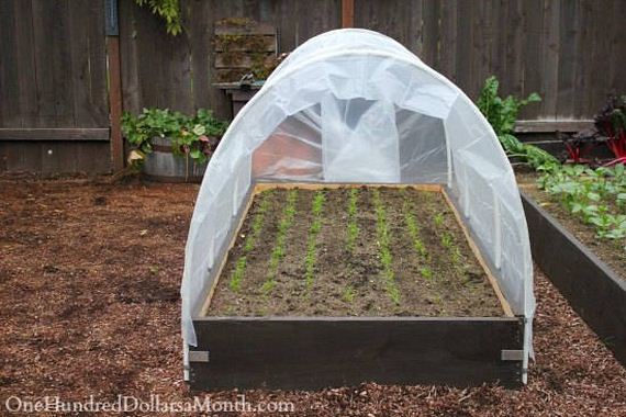 03-Great-DIY-Greenhouse-Projects