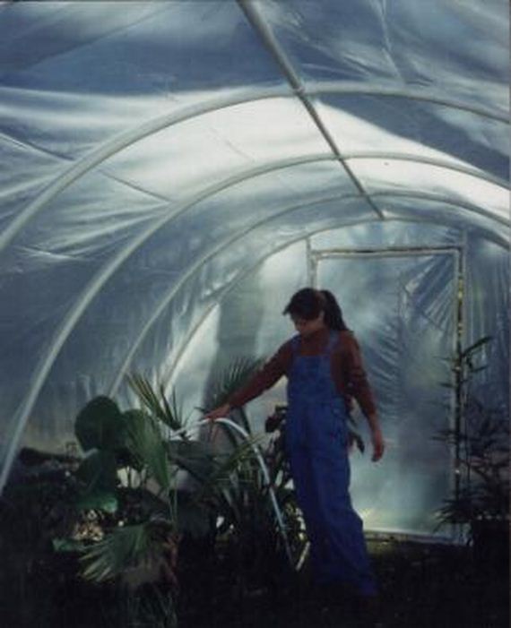 05-Great-DIY-Greenhouse-Projects