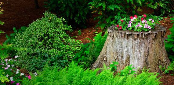 10-DIY-Tree-Stump-Garden