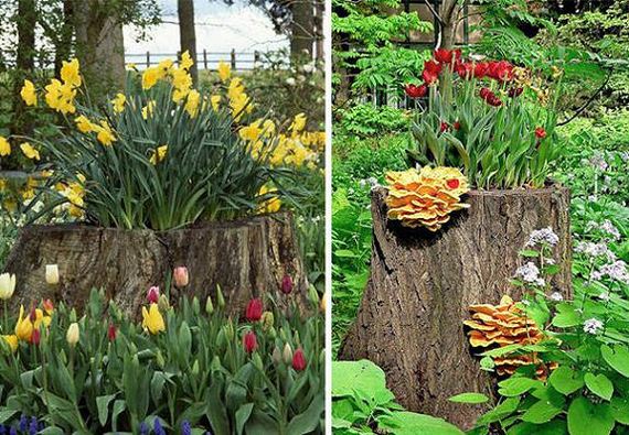 17-DIY-Tree-Stump-Garden