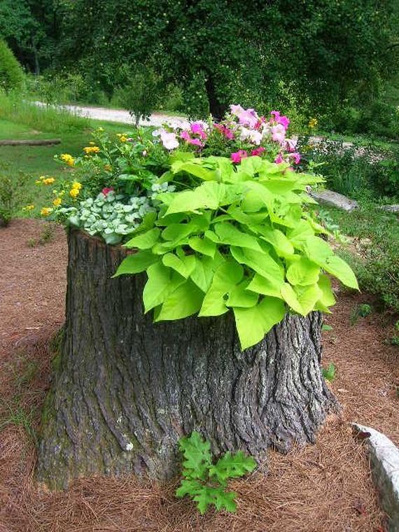 How to Recycle Tree Stumps for Garden Art and Yard Decorations