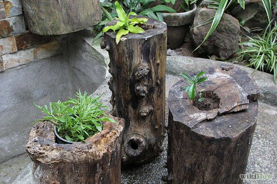 22-DIY-Tree-Stump-Garden