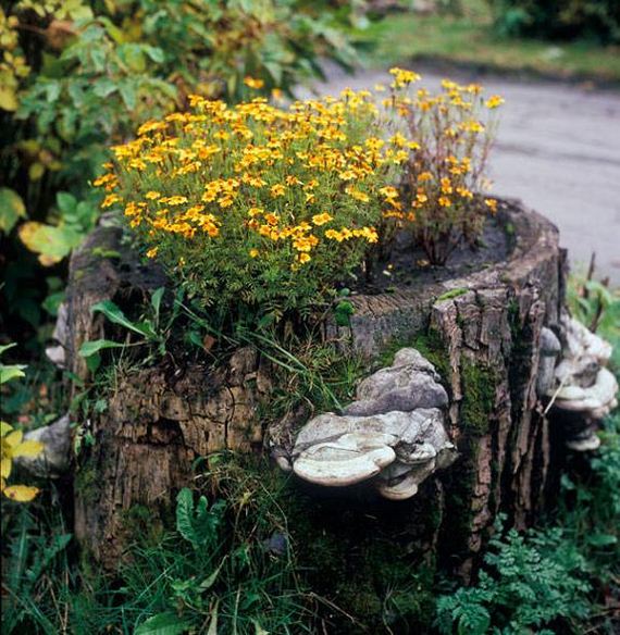 25-DIY-Tree-Stump-Garden