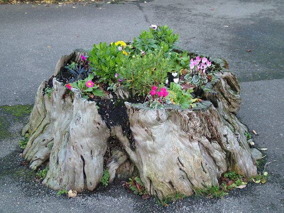 28-DIY-Tree-Stump-Garden
