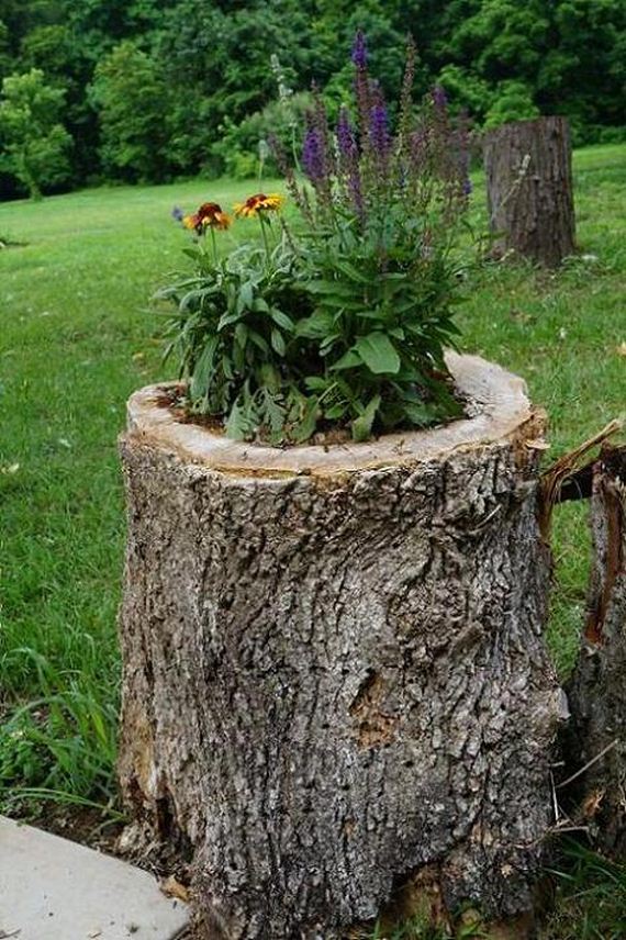31-DIY-Tree-Stump-Garden