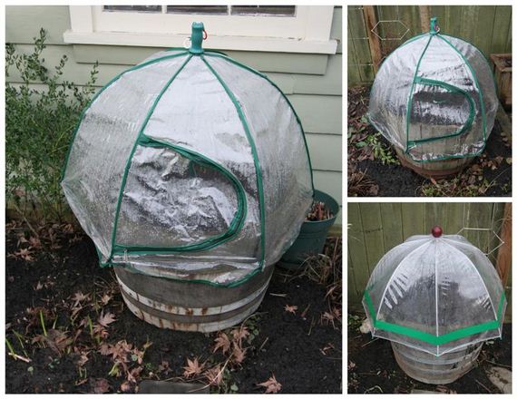 31-Great-DIY-Greenhouse-Projects