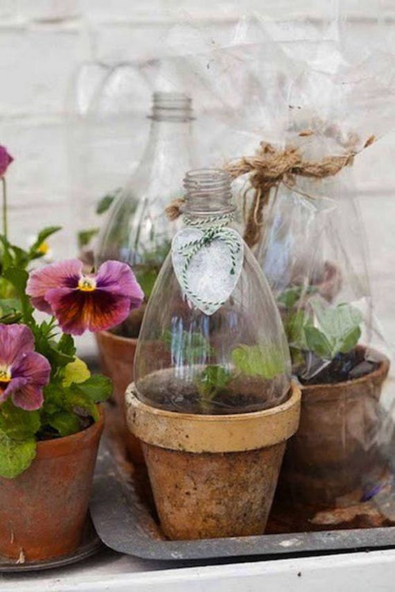 32-Great-DIY-Greenhouse-Projects