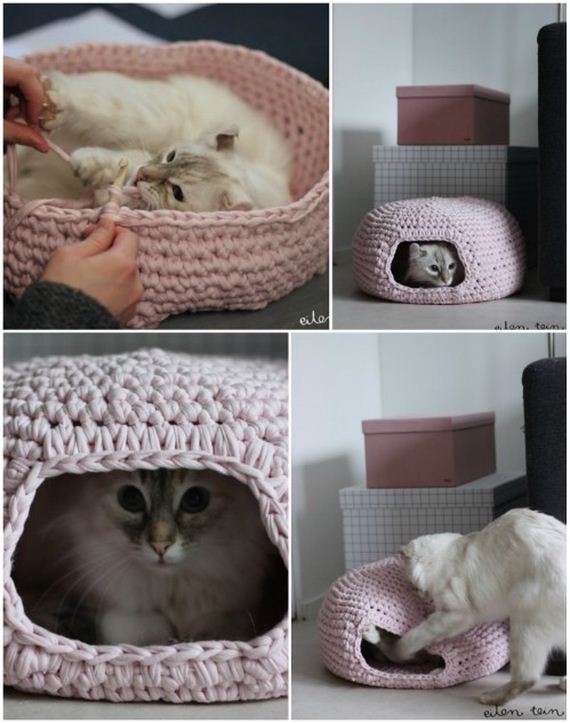 08-Projects-Cat-Owners
