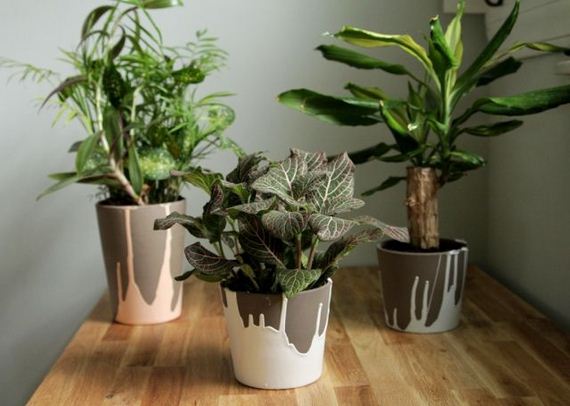 11-DIY-Pretty-Plant-Pots-You-Can-Create