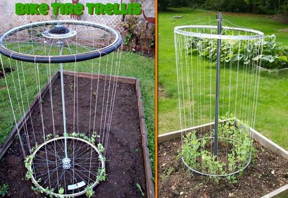 11-Gardening-Tricks