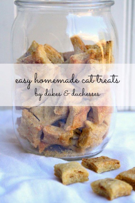 22-Homemade-Pet-Recipes