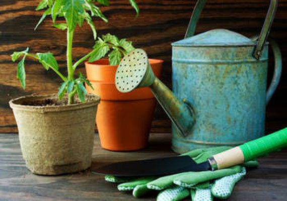 24-Clever-Gardening-Tips-And-Ideas