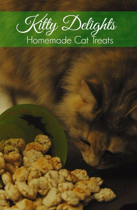 30-Homemade-Pet-Recipes
