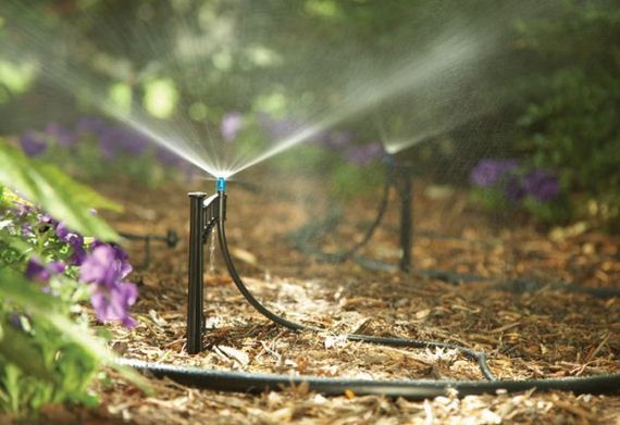 06-diy-drip-irrigation