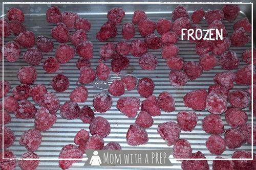 momwithaprep-dehydrate-raspberries8