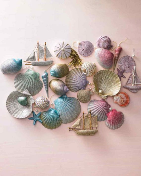06-Sea-Shells