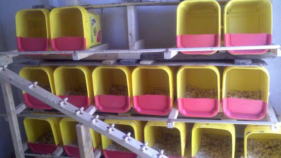 11-Kitty-Litter-Containers