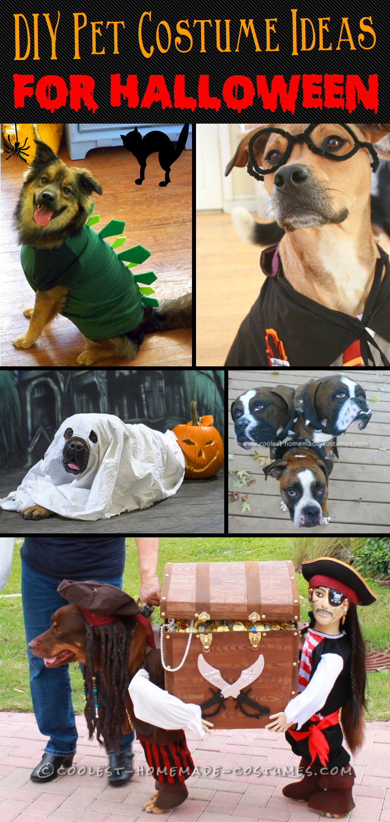 20-incredibly-adorable-yet-simple-diy-pet-costume-ideas-for-halloween