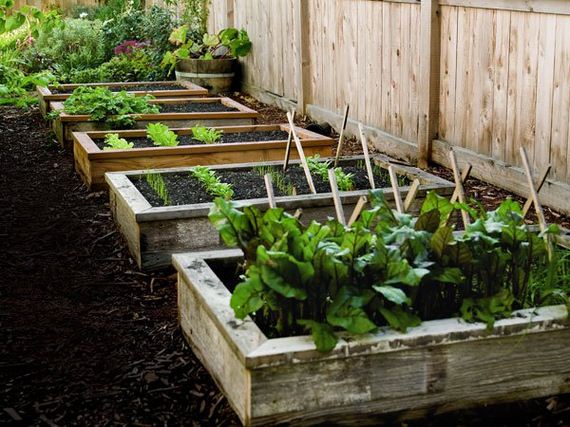 12-raised-garden-beds