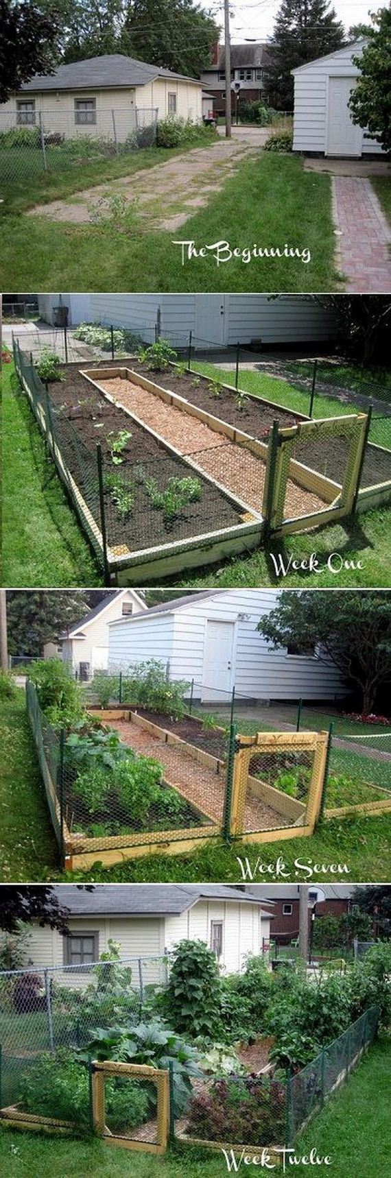 4-raised-garden-beds