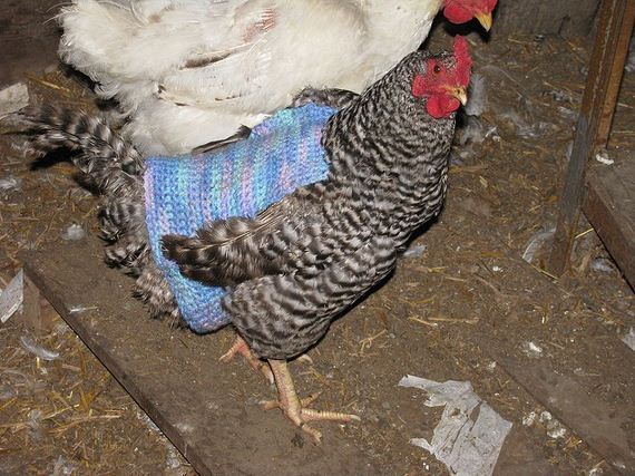 15-knitting-crochet-patterns