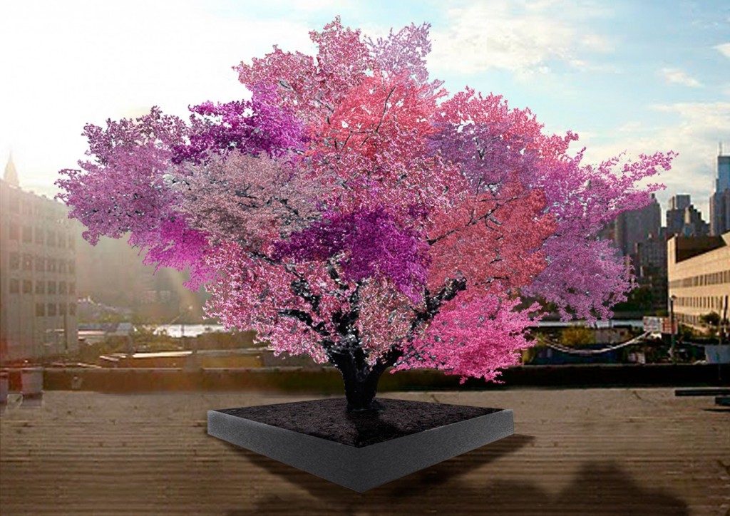 This Incredible Tree Can Grow 40 Kinds Of Fruit