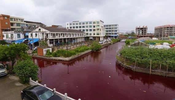 River In China Mysteriously Turns Blood Red Overnight