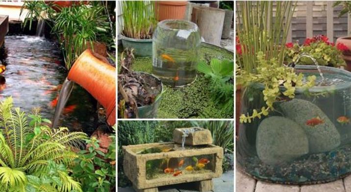 Cool Garden or Backyard Aquarium Ideas Will Blow Your Mind