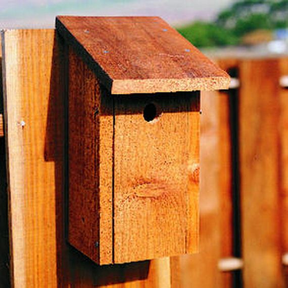 06-Make-Birdhouses