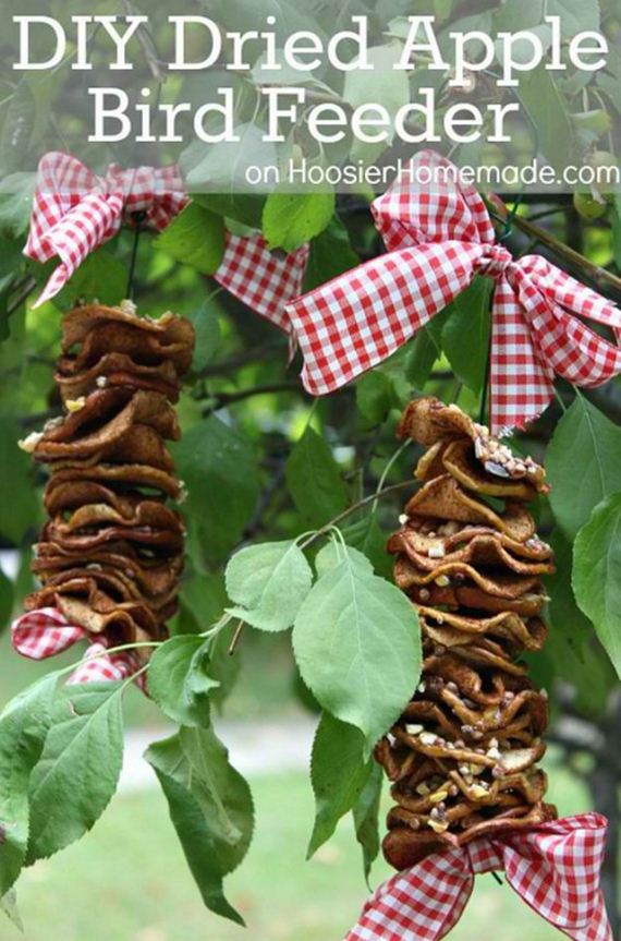 13-Bird-Feeder-Ideas