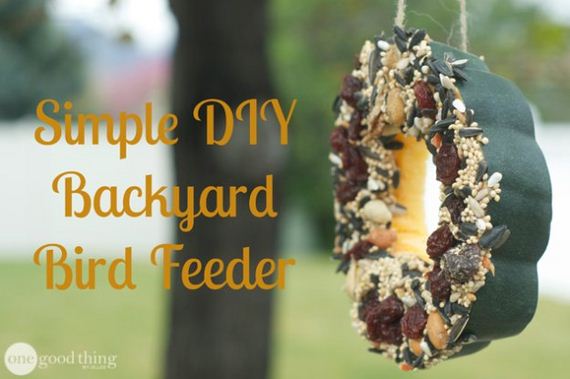 15-Bird-Feeder-Ideas