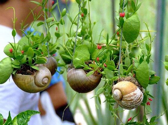 Unique DIY Hanging Planters