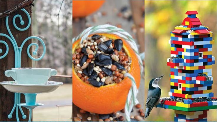 Amazing DIY Bird Feeder Ideas