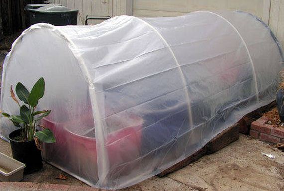 08-Great-DIY-Greenhouse-Projects