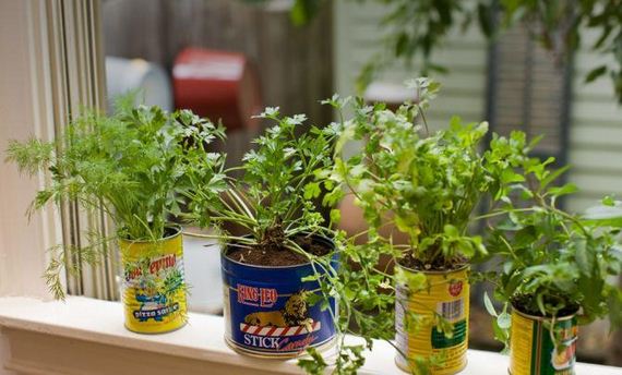 10-Indoor-Herb-Garden