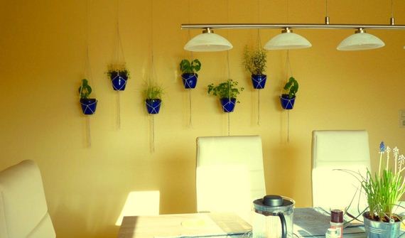 14-Indoor-Herb-Garden