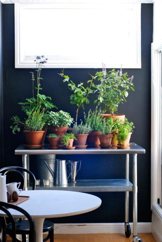 20-Indoor-Herb-Garden