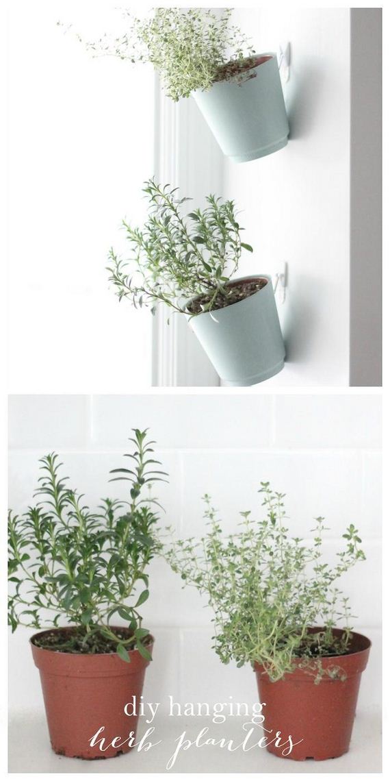 25-Indoor-Herb-Garden