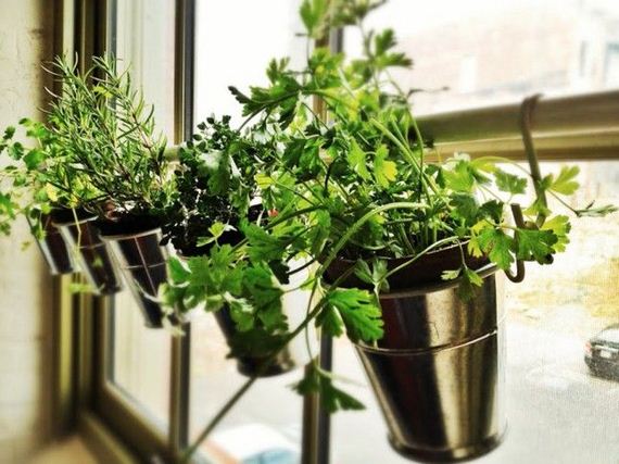 31-Indoor-Herb-Garden