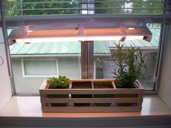 33-Indoor-Herb-Garden