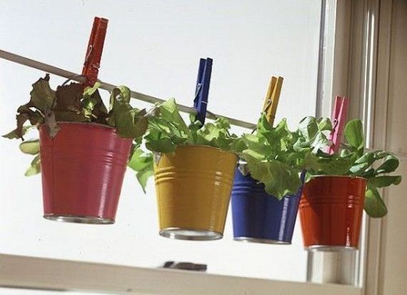 50-Indoor-Herb-Garden