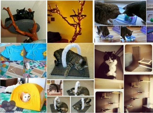 Awesome DIY Projects for Cat Owners