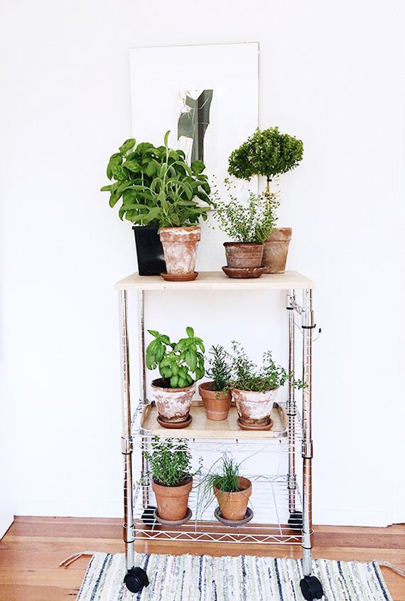 17-DIY-Plant-Stand