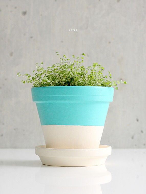 20-DIY-Pretty-Plant-Pots-You-Can-Create
