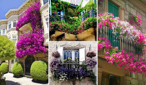 Awesome Balcony Gardens