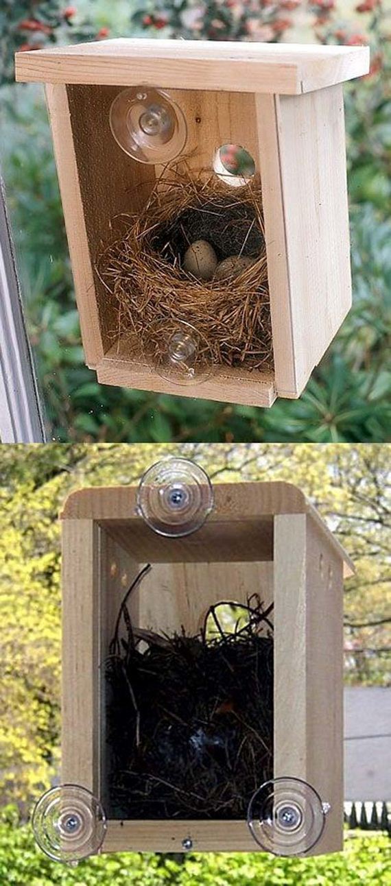 07-unusual-bird-nests-woohome