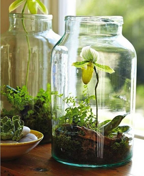 08-Smart-Miniaturized-Indoor-Garden