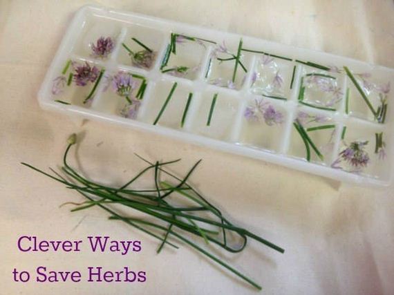 10-Clever-Gardening-Tips-And-Ideas